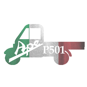 ape P501_logo300 ape P501_logo300